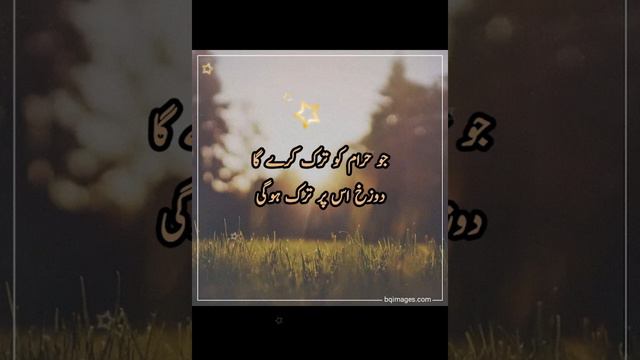 Sunhari Batain | Golden Words statuse | Achi Batain WhatsApp status