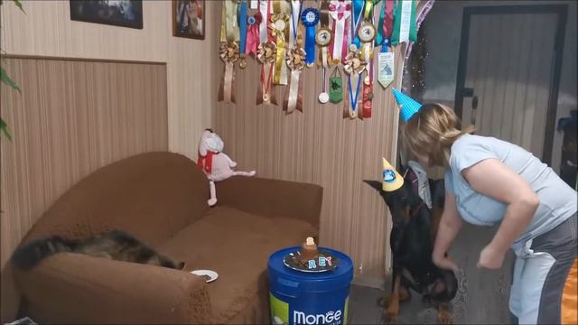 нашему доберману 8 лет смотреть онлайн