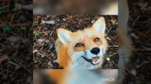 08.02.2021.Презентация Уникальной Сказки Для Взрослых : " Ярослава ".