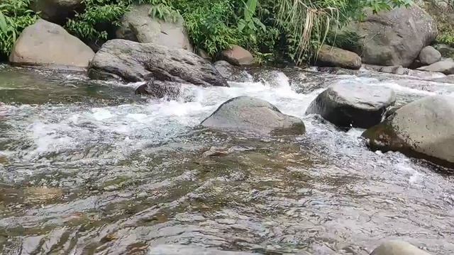 Аль-Мульк, Ар-Рахман,Йа Син - УСПОКАИВАЮЩИЕ ЧТЕНИЕ КОРАН ❤️СЛУШАЕТЕ ПЕРЕД СНОМ смотреть онлайн