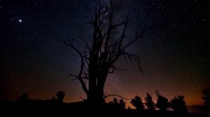 Телепутешествия HD промо