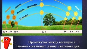 4 класс  Естествознание . Как солнечные лучи падают на Землю