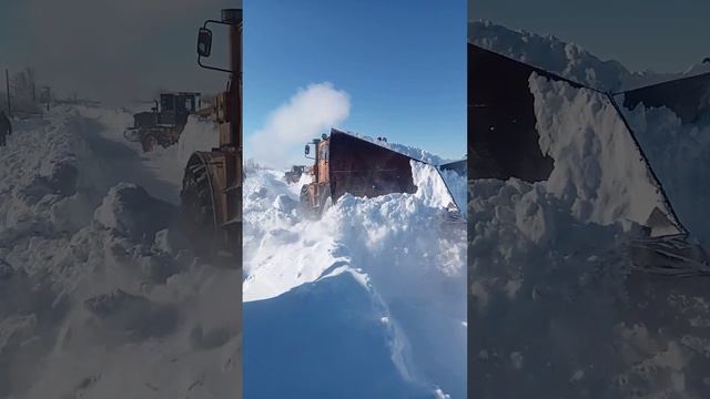 18 февраля 2024 г. смотреть онлайн