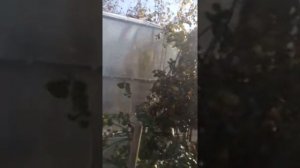 Установка конька на теплицу