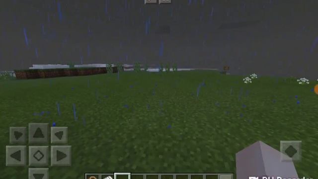 Приобретение пушистых питомцев животные видят грозу #6 смотреть онлайн