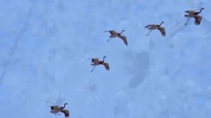 Таинство оригами