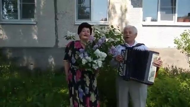 Сирень сиреневая с белой смотреть онлайн