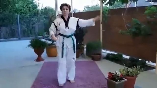 Онлайн Турнир тхэквондо 00424 смотреть онлайн