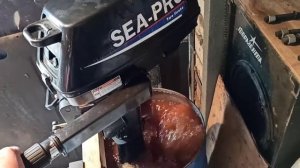 Лодочный мотор Sea Pro T3S. Первый запуск после покупки.