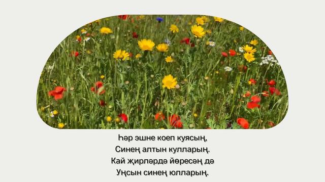 Туган көнең белән, абый! смотреть онлайн