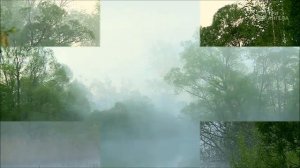 "А зори здесь тихие тихие" - в исполнении Евгения Жеребцова