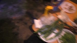 ПОЙМАЛ ОГРОМНОГО СУДАКА на КРУЖКИ! рыбалка с ночевкой. Кладоискатель Руся.