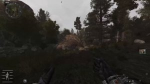Stalker Anomaly Redux 1.1 Найти артефакт в Мертвом лесу