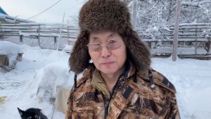 Якутская ЛАЙКА