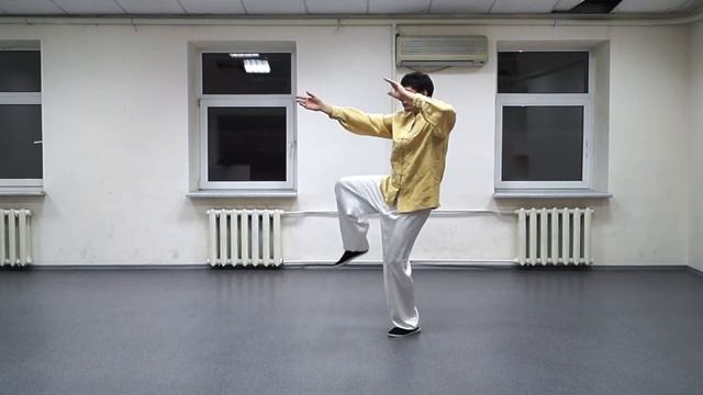 Тайцзи цюань стиль Ян 42 формы - 2013 год зима смотреть онлайн