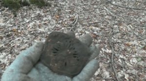 ЧТО МОЖНО НАЙТИ В ЛЕСУ!!! КОП В ГЕРМАНИИ!!!