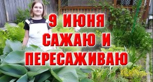 9 июня. Сажаю и пересаживаю.mp4