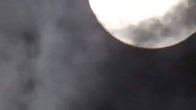 Nikon Coolpix L810 смотреть онлайн