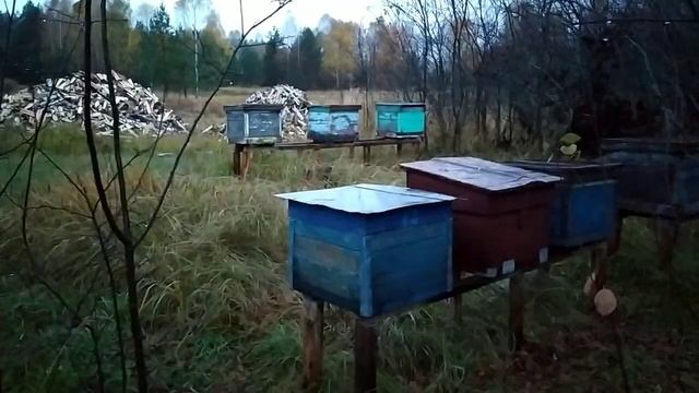 Крестьянское утро