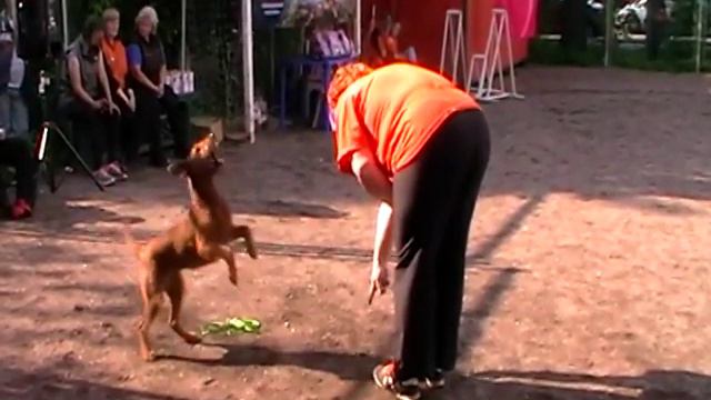 D0 Large Задумкина Наталья и ит Дерзкая Ди смотреть онлайн