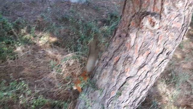 Севастополь — самый интересный город на Крымском полуострове смотреть онлайн