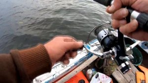 В поисках ЩУКИ поймал ОКУНЯРУ! Спиннинговая рыбалка в Карелии на Онежском озере летом 2021 г.