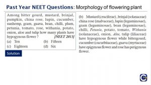 Past Year NEET Questions-Morphology of Flowering Plants-Part 2