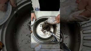 Чистим налима