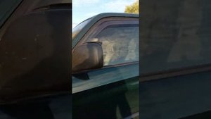 Купил Ленд Крузер Прадо 90.Подорок на день рождения.