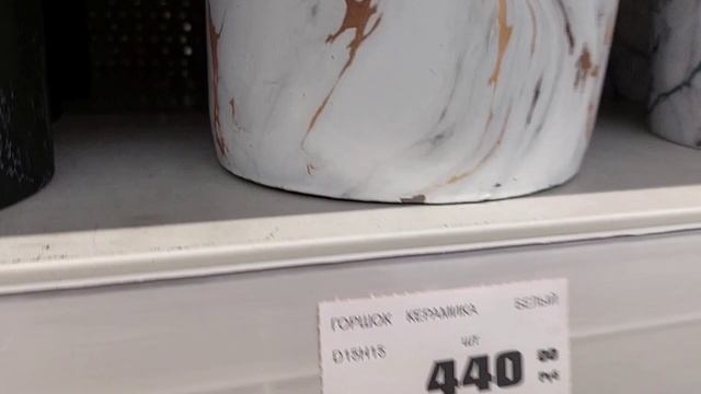 Обзор Obi  в январе 2023г ? ? ? ? ☃️ ? ?!Цветочные новинки ? ?!