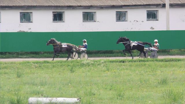 27.07.2024г. Абаканский Ипподром лошади рысистых пород 2-х лет1600м..