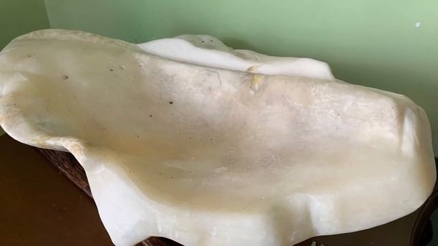 Tridacna Gigas смотреть онлайн