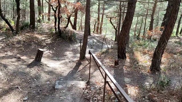 Самый лучший дикий пляж в Геленджике. Сосновка январь 2023 смотреть онлайн