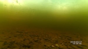 Как поймать ЛЕНКА?/ how to catch lenka? Подводная съемка! Полный обзор! 17.03.19г.