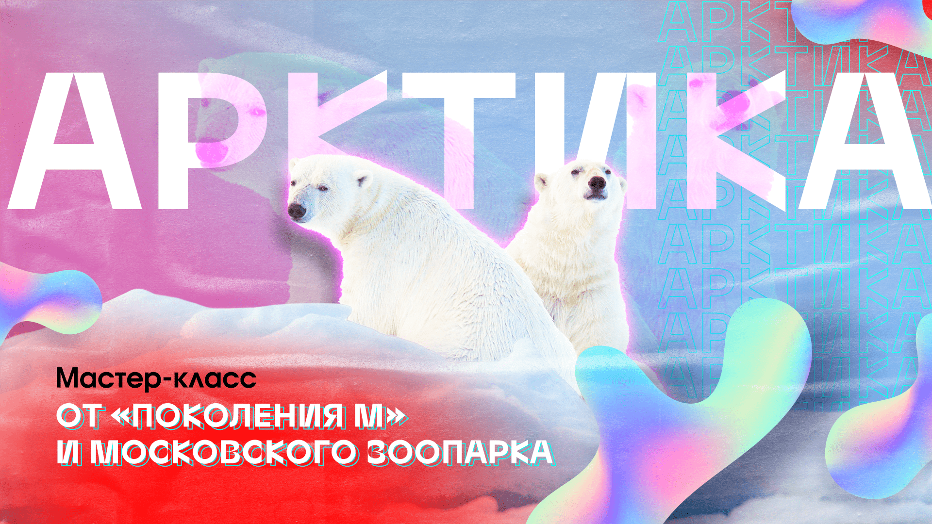 Мастер-класс «Арктика» от «Поколения М» и Московского зоопарка. Изучаем природу России