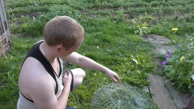 раколовки своими руками(наверняка уловистые) смотреть онлайн