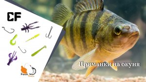 Окунь не устаит от этих приманок  Клёвая резина для ловли окуня от CF