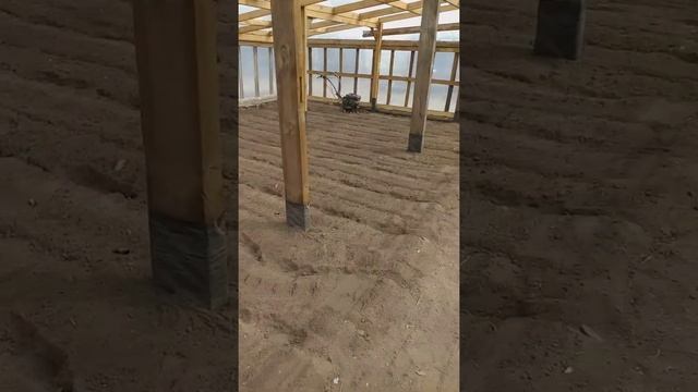 Грядки под посев капусты на землю в теплицу смотреть онлайн