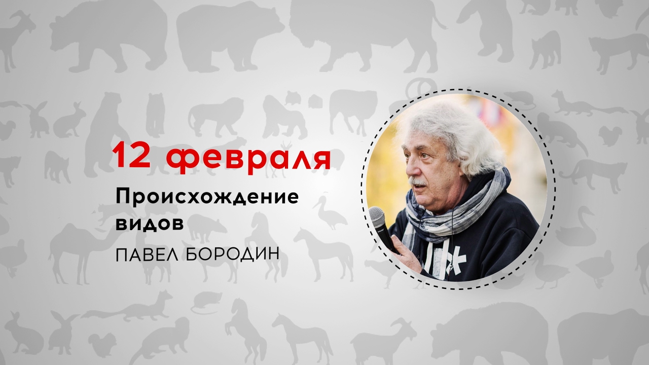 Неделя Дарвина. Павел Бородин. Происхождение видов. Трансляция