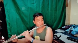 A Million Dreams from The Greatest Showman #flutecover