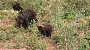 Путешествие по Сибири. Что можно увидеть летом?