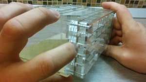 обзор формикарий куб2 4ants