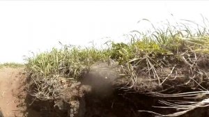 мыс Терпения - остров Тюлений