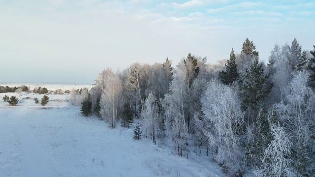 Акколь - Зимний лес - Рассвет