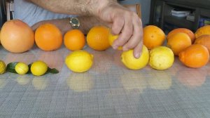 #citrus #exotic #цитрусы #тропическиефрукты Ассортимент цитрусовых сезона 2022 года