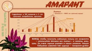 Чиа, киноа и амарант: в чем польза и чем заменить