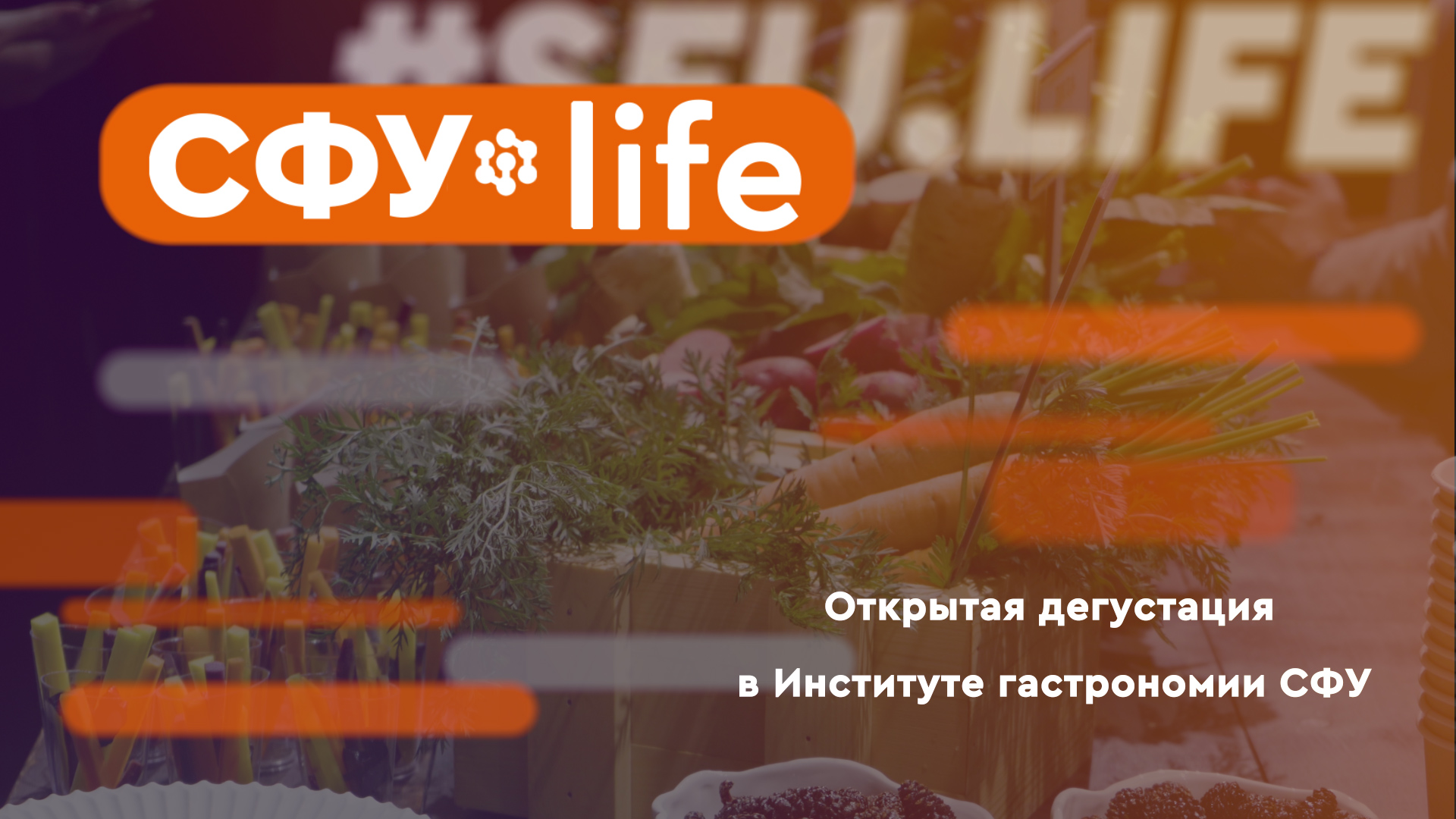 СФУ.life: Открытая дегустация в Институте гастрономии