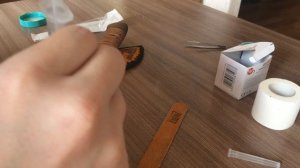 гомункул -  из семени свиньи и человека ,  высиживает курица