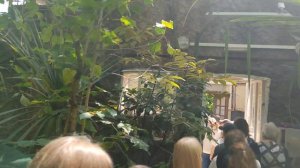 Ботанический сад Петра Великого (Санкт-Петербург)