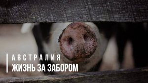 АВСТРАЛИЯ: ЖИЗНЬ ЗА ЗАБОРОМ